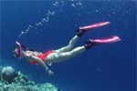 Snorkeling in Crimea